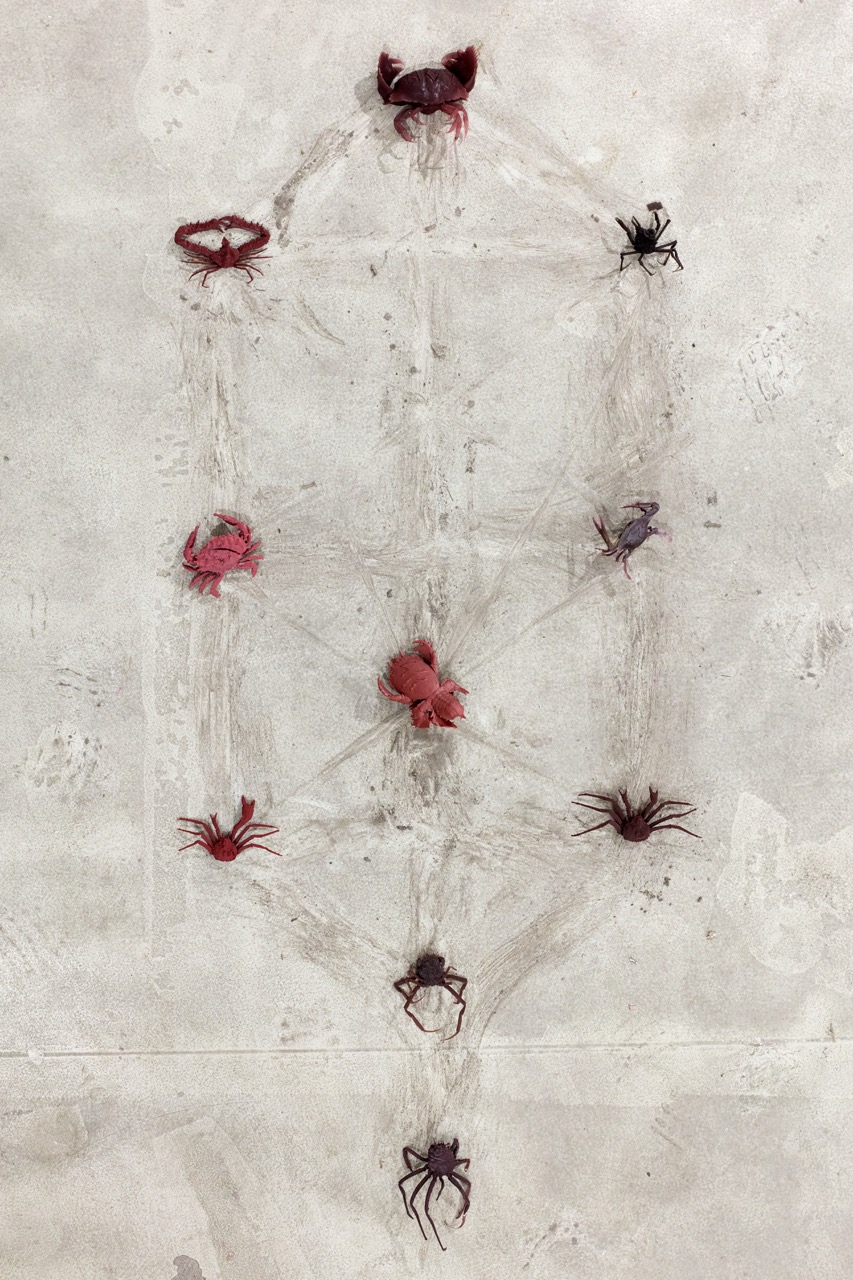 Red and dark crab-like forms arranged vertically across a pale textured surface.