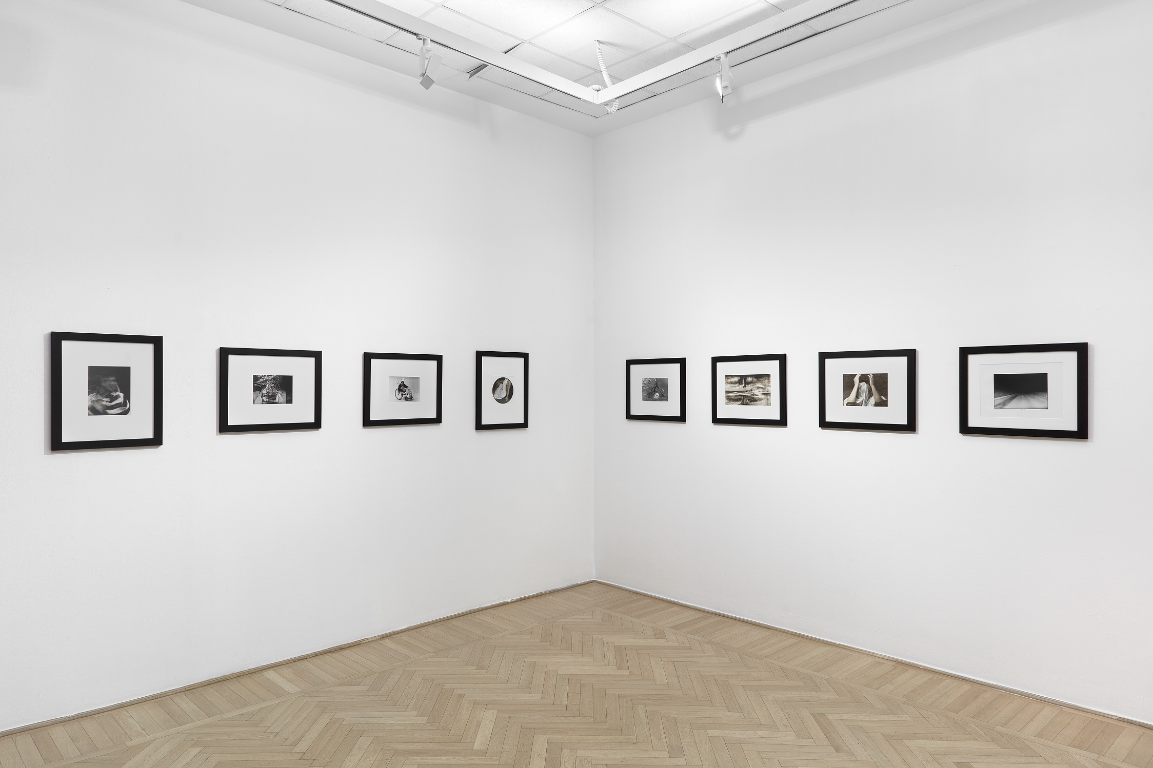 Eight framed photographs arranged across two white gallery walls meeting at a corner above a parquet floor.
